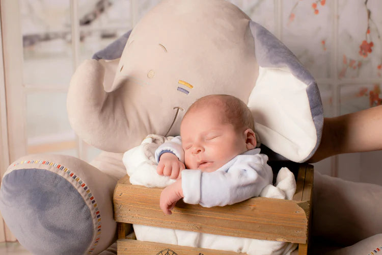 Baby lifestyle image